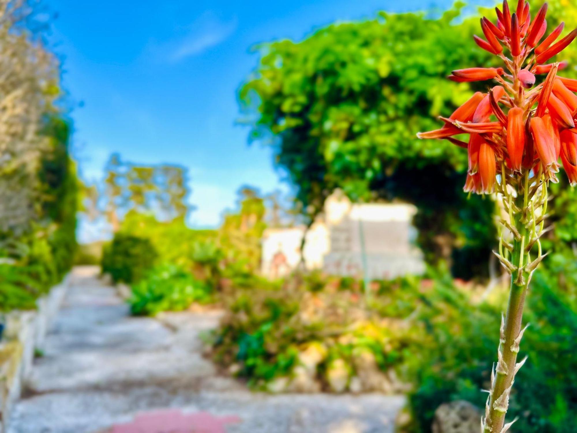 Villa Primavera Favignana Ngoại thất bức ảnh